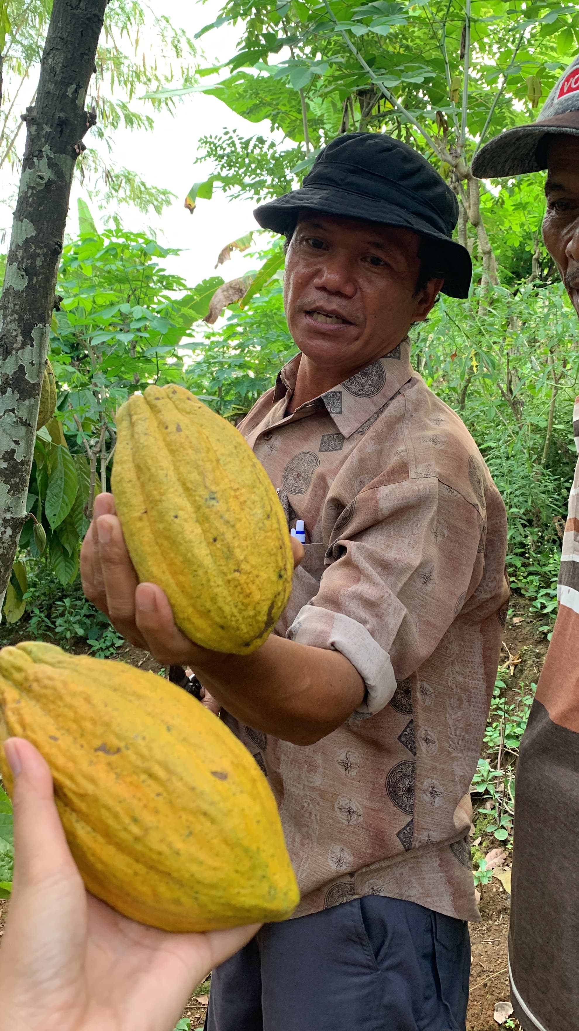 Farmer training session