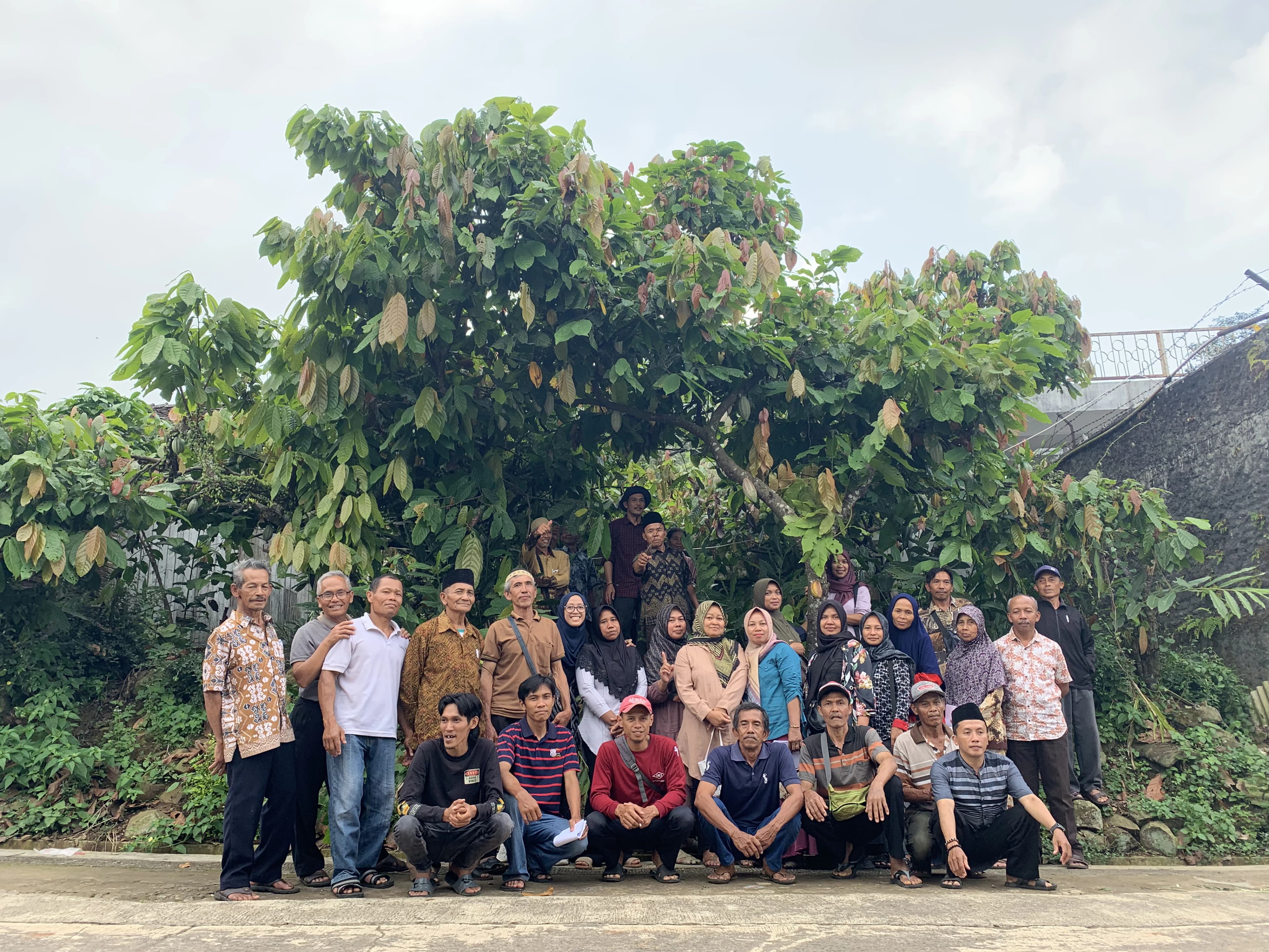 Ilustrasi dampak Nichoa Chocolate
